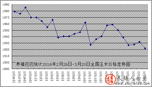 2016226-320ȫ׼۸ͼ



