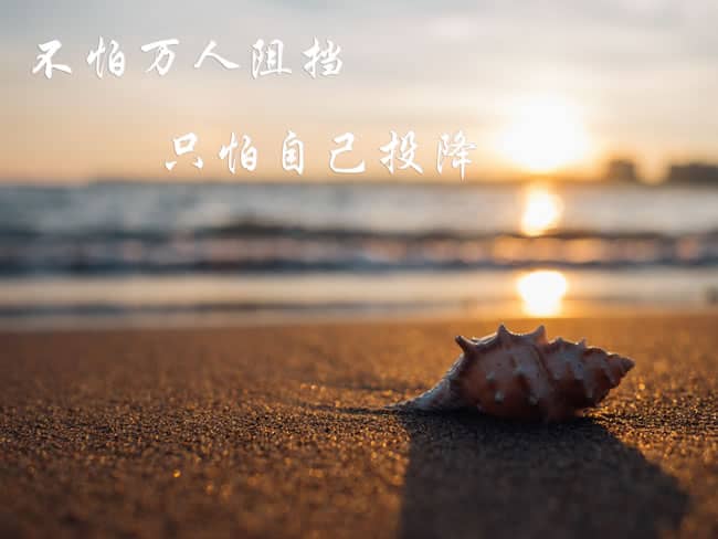 һ޵簲˵˵