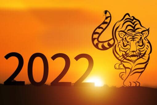 2022ʲôФ-ͼ