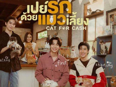 ̩Cat For Cash˭ʲô